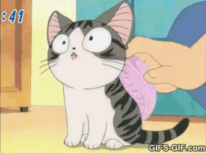 anime kitten getting high on back scratches