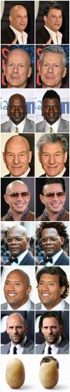 what bald celebrities would look like with hair