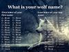 what is your wolf name