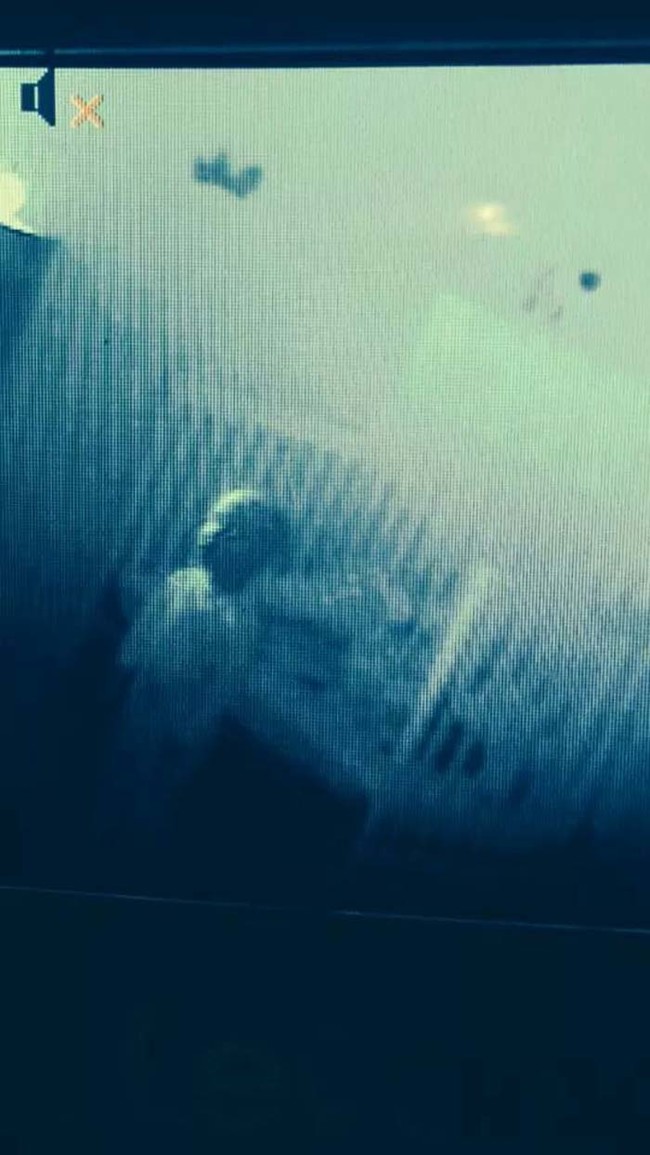 16 of the creepiest photographs ever taken
