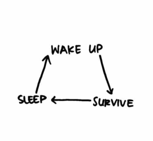 wake up survive sleep repeat