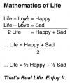 the mathematics of life prove that life is half happiness and half sadness, just reality
