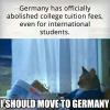 germany has officially abolished college tuition fees, even for international students, i should move to germany, newspaper cat, meme