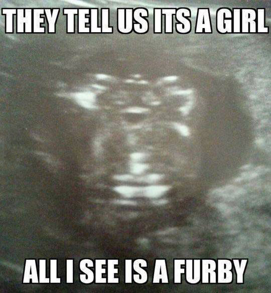 they tell us its a girl, all i see is a furby, meme