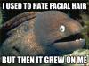 i used to hate facial hair, but then it grew on me, bad joke eel, meme