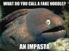 what do you call a fake noodle, an impasta, bad joke eel, meme