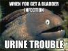 when you get a bladder infection, urine trouble, bad joke eel, meme