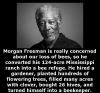 morgan freeman is really concerned about our loss of bees, so he converted his 124 acre mississippi ranch into a bee refuge, he hired a gardener, planted hundreds of flowering trees, bought 26 hives and turned himself into a beekeeper