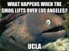 what happens when the smog lifts over los angeles?, bad joke eel, meme