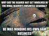 why did the beaver not get involved in the rival beaver's business scandal, he was minding his own dam business, bad joke eel, meme