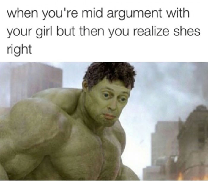 when you're mid argiment with your girl but then you realize she's right, steve buschemi face on the hulk