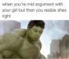 when you're mid argiment with your girl but then you realize she's right, steve buschemi face on the hulk