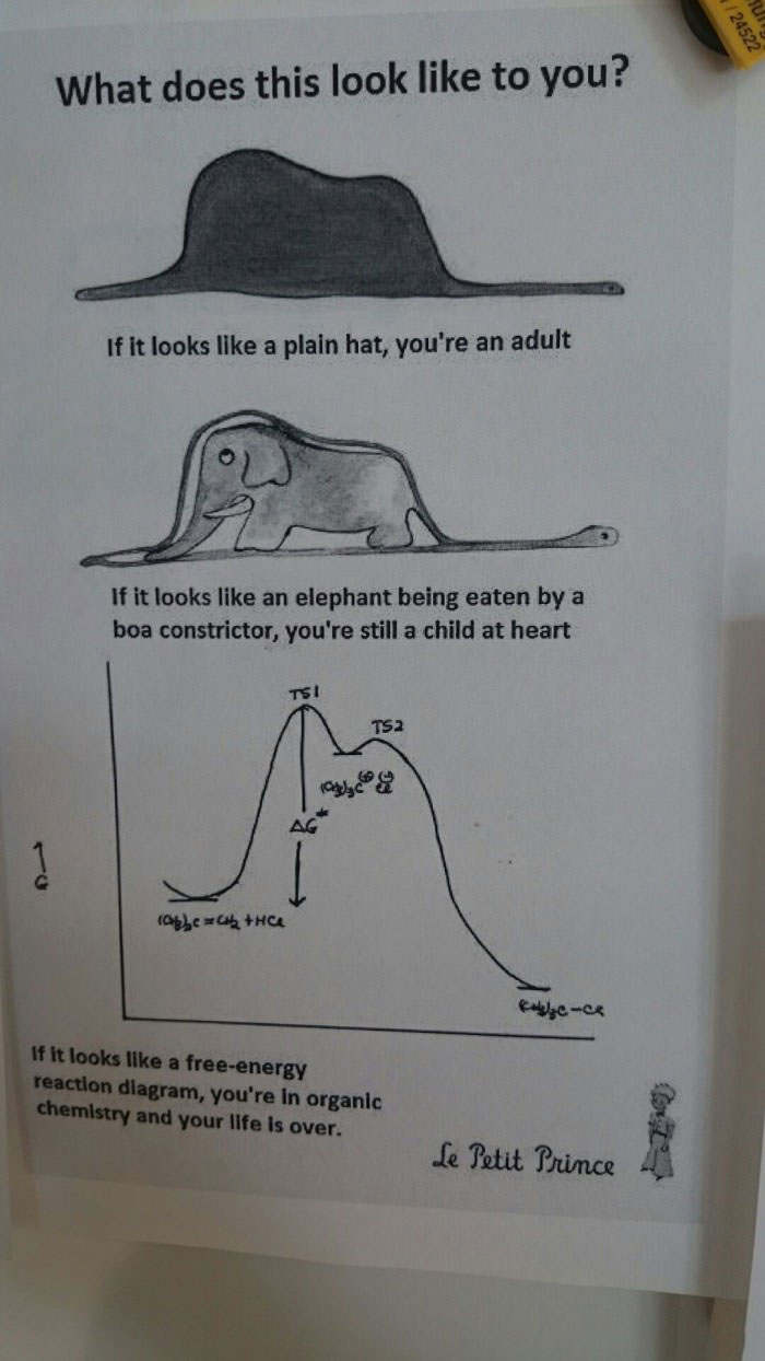 what does this look like to you, if it looks like a plain hat you're an adult, if it looks like an elephant being eaten by a boa constrictor you're still a child at heart, free energy reaction diagram, organic chemistry