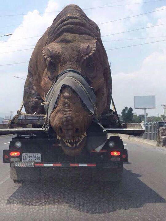 just a tyrannosaurus rex on the back of a truck