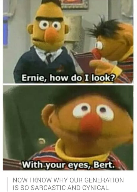 ernie how do i look, with your eyes bert, now i know why our generation is so sarcastic and cynical, sesame street