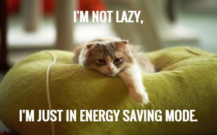 i'm not lazy i'm just in energy saving mode, cat