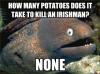 how many potatoes does it take to kill an irishman, none, bad joke eel, meme
