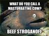 what do you call a masturbating cow?, beer stroganoff, bad joke eel, meme