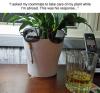 i asked my roommate to take care of my plant while i'm abroad, this was his response, plant wearing sunglasses while smoking and drinking
