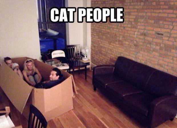 cat people sitting inside the box the couch came in, meme