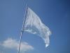 this is the real last confederate flag, white