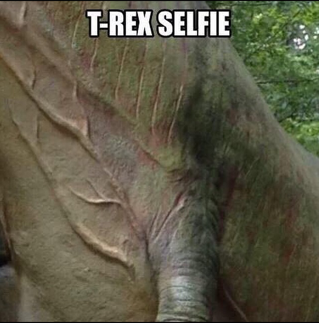 t-rex selfie, meme