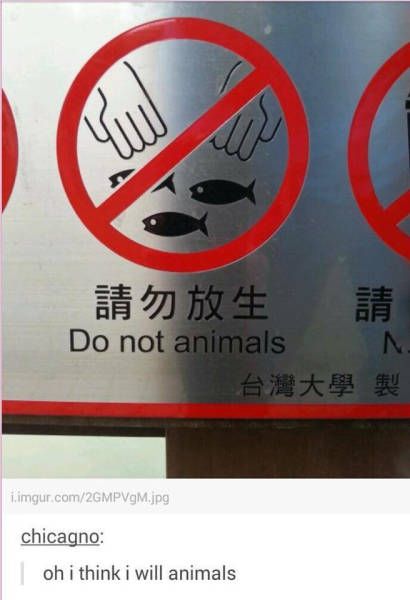 do-not-animals-oh-i-think-i-will-animals-engrish-1435934777.jpg