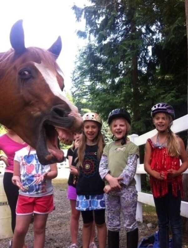 horse photobombs group of little girls