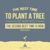 the best time to plant a tree is 20 years ago, the second best time is now, chinese proverb