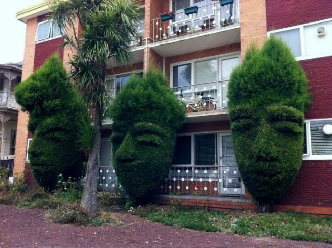 bush trees carved into faces