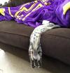 this cat just invented a new level of lazy, cat sleeping hanging off the couch