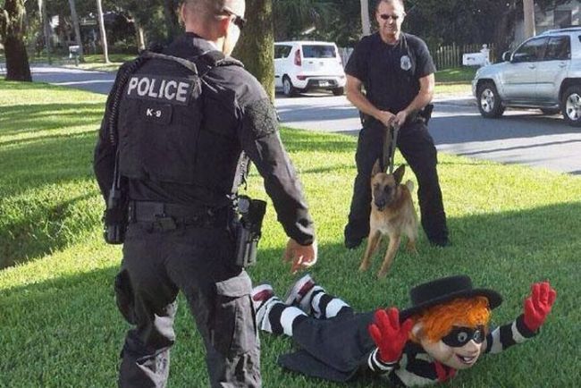 breaking news the hamburger finally caught and detained by police