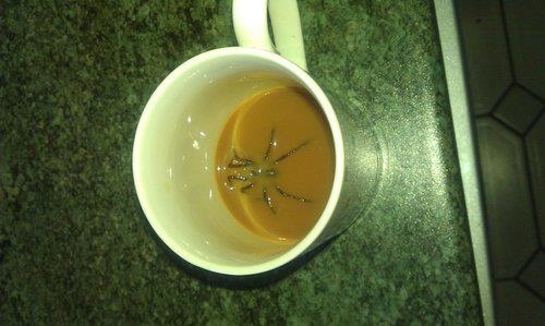 spider at the bottom of a coffee mug