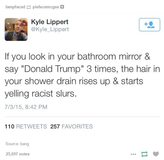if you look in your bathroom mirror and say donald trump 3 times, the hair in your shower drain rises up and starts yelling racist slurs