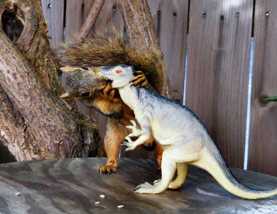 squirrel making out with toy tyrannosaurus rex