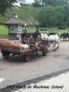 ups truck on mackinac island, horse drawn carriage