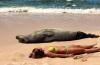 can you spot the differences, girl lying on beach next to sea lion
