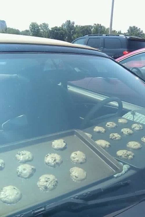 don't leave your dog or children in a hot car, leave cookies