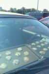 don't leave your dog or children in a hot car, leave cookies