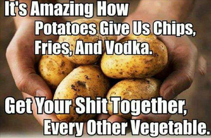 it's amazing how potatoes give us chips fries and vodka, get your shit together every other vegetable, meme