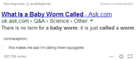 what is a baby worm called?, there is no term for a baby worm it is just called a worm, this makes me sad i'm calling them squigglets