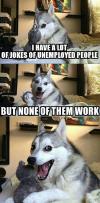 i have a lot of jokes of unemployed people, but none of them work, pun husky, meme