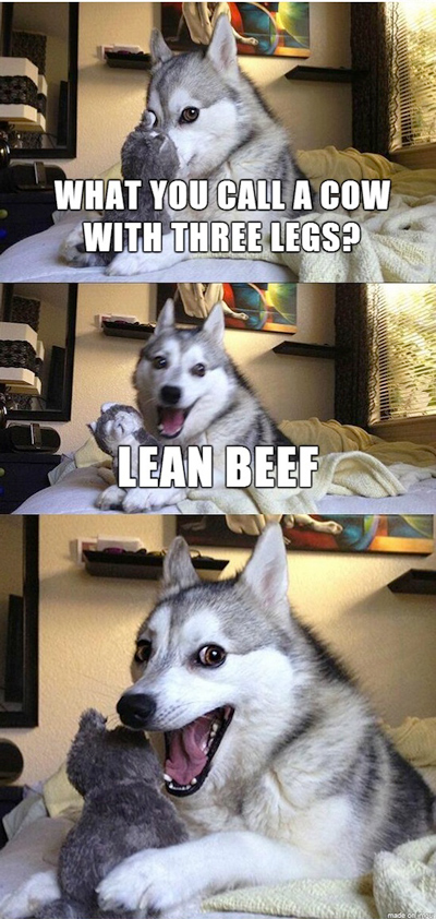 what do you call a cow with three legs, lean beef, pun husky, meme