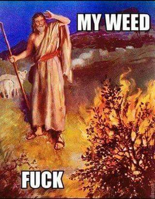 my weed fuck, moses in front of a burning bush, meme