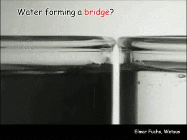 did you know that water can form a bridge?