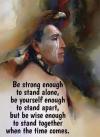 be strong enough to stand alone, be yourself enough to stand apart, but be wise enough to stand together when the time comes