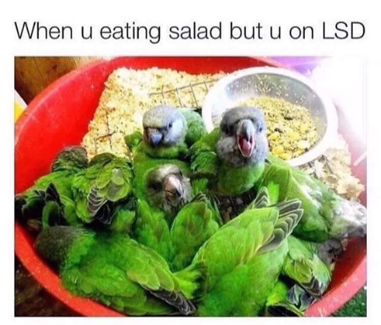 when u eating salad but u on lsd