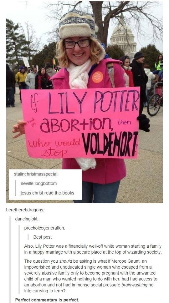 harry potter and the legislation of abortion