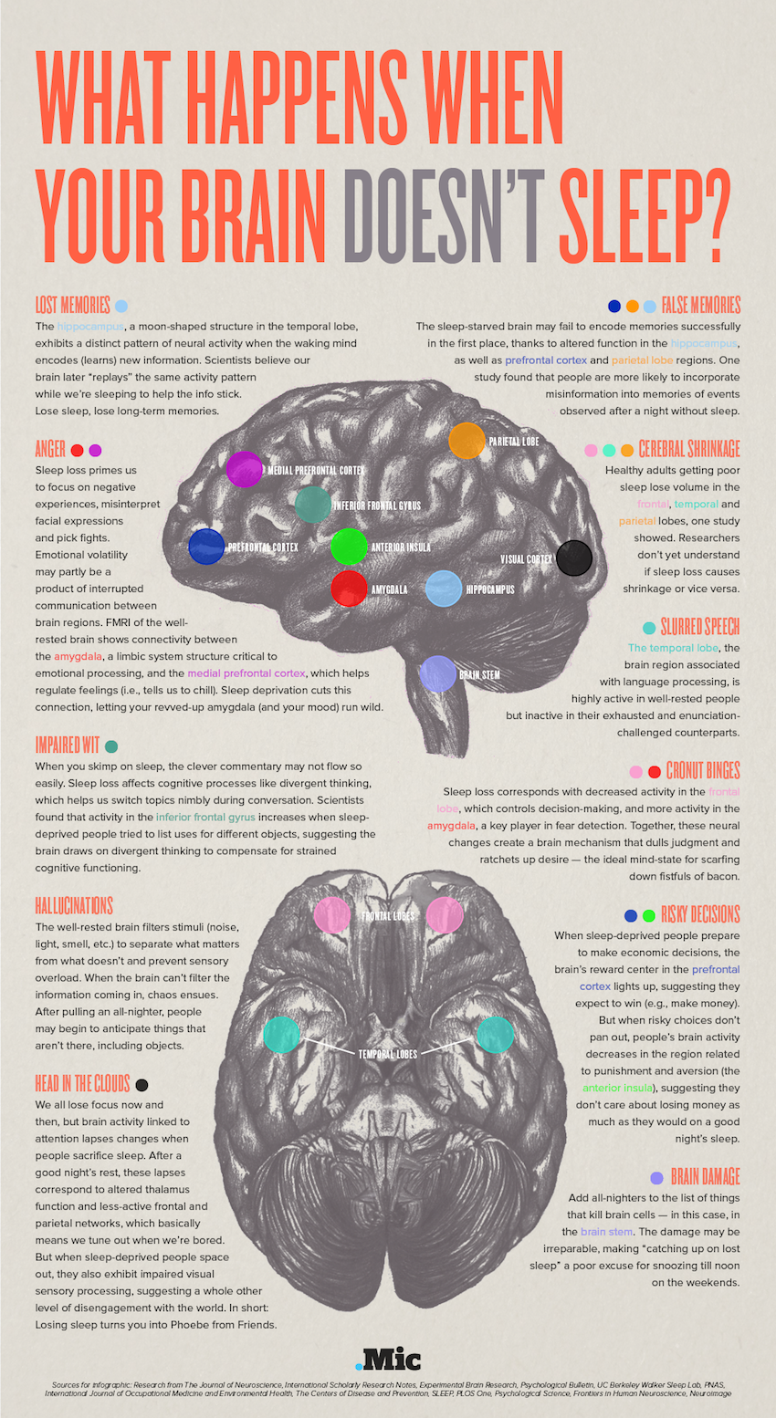 what happens when your brain doesn't sleep?, infographic