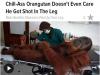 chill ass orangutang doesn't even care he got shot in the leg